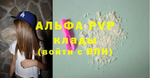 МДПВ Инсар