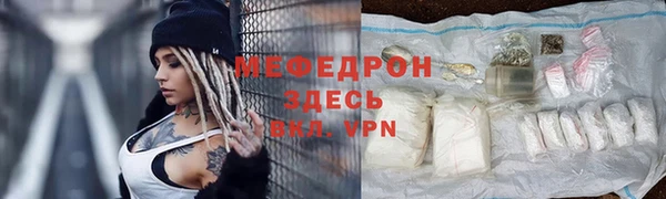МДПВ Инсар