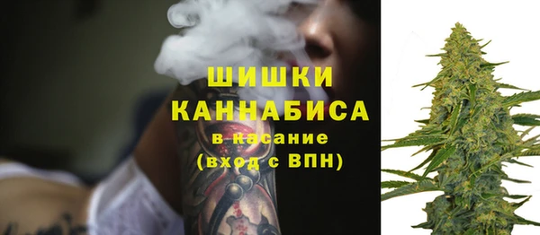 МДПВ Инсар