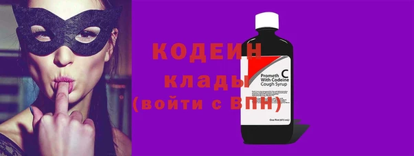 МДПВ Инсар