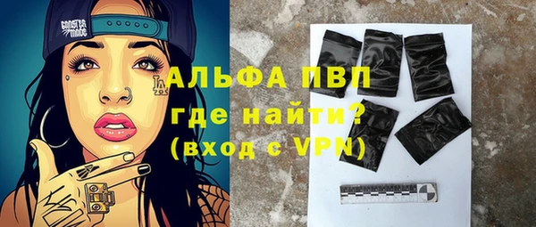 МДПВ Инсар