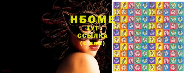 МДПВ Инсар