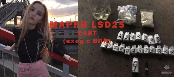 МДПВ Инсар