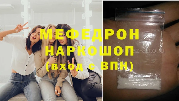 МДПВ Инсар