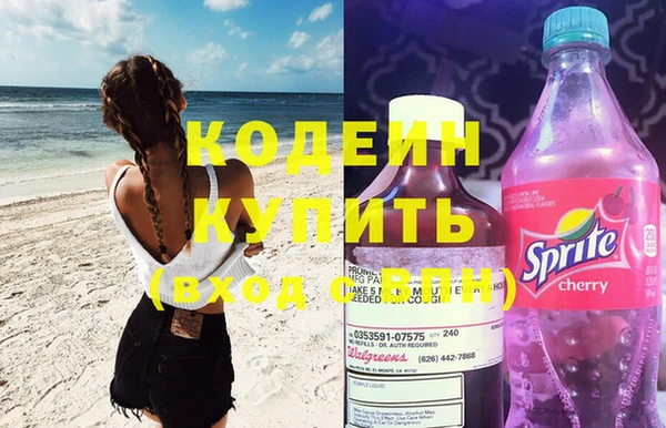 МДПВ Инсар
