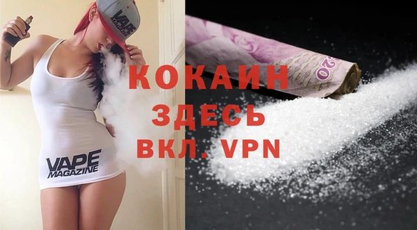 МДПВ Инсар
