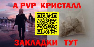 jwh Кингисепп