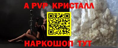 jwh Кингисепп