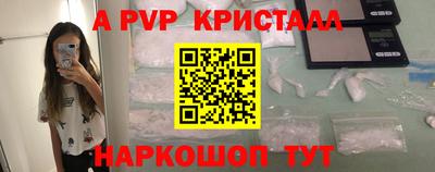 jwh Кингисепп
