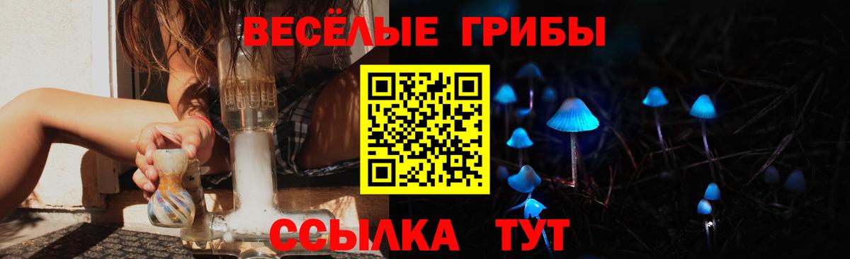 Фролово  Галлюциногенные грибы Psilocybe  Вход с VPN 